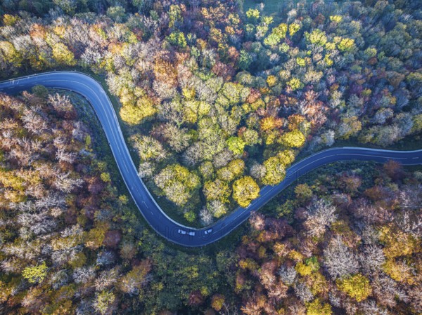 Winding country road through a forest with autumn-coloured trees, Swabian Alb in autumn. Aerial