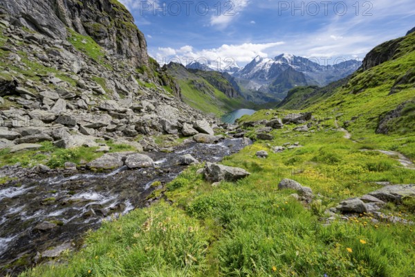 Mountain stream and mountain lake Lac de Louvie with glaciated summit of the Grand Combin, Val de