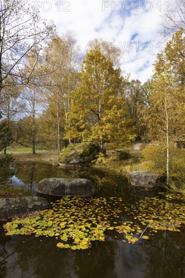 Fish pond with granite rocks in the Blockheide nature park Park near Gmünd, Waldviertel, Lower