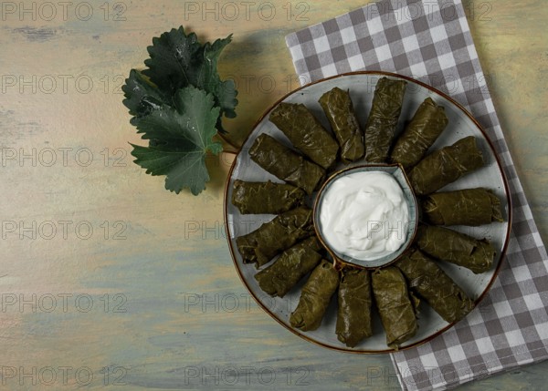 Dolma, cabbage rolls in grape leaves, Traditional Armenian dish, with white sauce, top view,