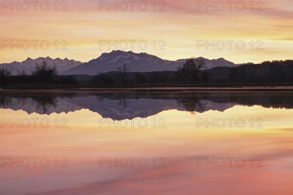 Pilatus reflected in the flooded nature reserve in the evening light, Reussspitz, Hünenberg, Canton