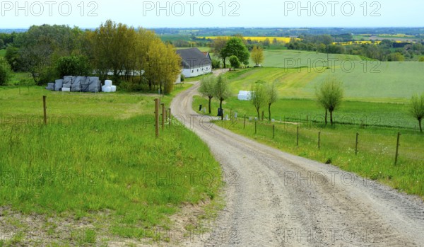 Small gravel road in landscape with farmhouse on Romele ridge, Skurup municipality, Skåne county,