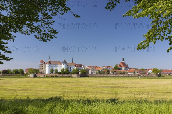 Town view from the east across the Elbe with Hartenfels Castle and St Mary's Church, Torgau,