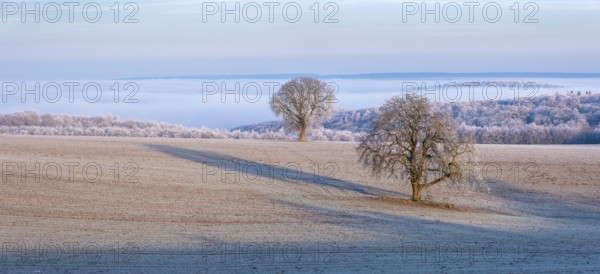 View of the Unstrut valley in winter, fields, trees and forests covered with hoarfrost, fog in the