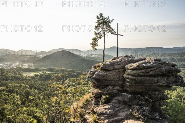Sandstone rock with pine tree and summit cross, Rötzenfelsen, sunrise, Gossersweiler-Stein,