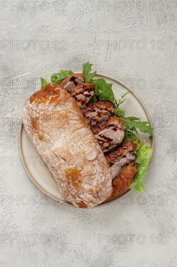Sandwich with duck breast and arugula, balsamic sauce, on a light plate, breakfast, homemade, no