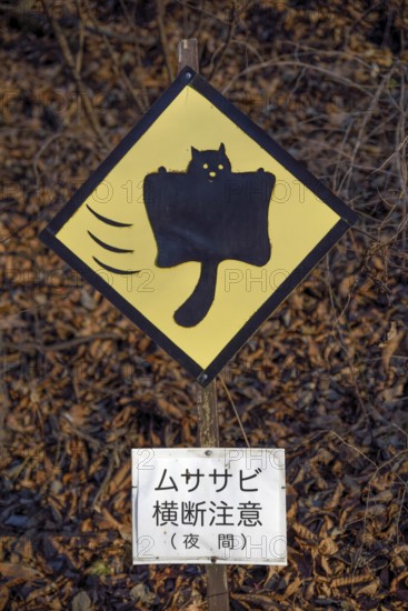 Curious shield, warning against Japanese Giant Squirrel (Petaurista leucogenys), near Kariuzawa,