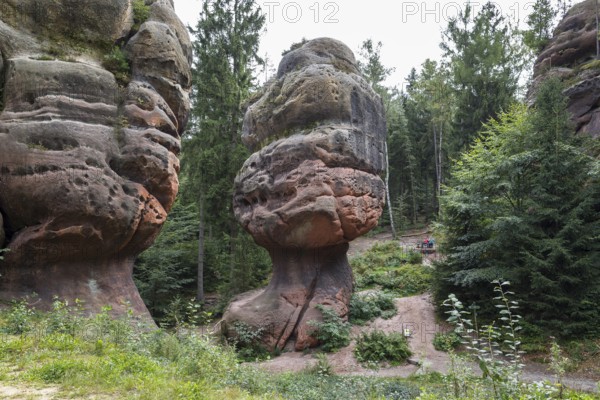 Natural monument Kelchsteine with mushroom rock Kelchstein near Oybin, Zittau Mountains, Saxony,