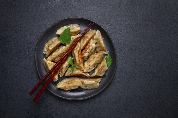 Japanese fried gyoza dumplings, with pork, sesame seeds, green onions