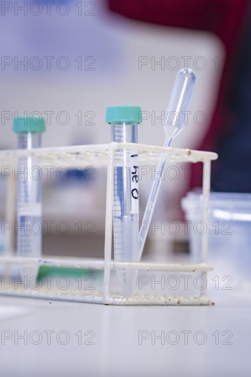 Test tubes in a rack with pipette in a laboratory environment, Nagold Youth Research Centre, Black