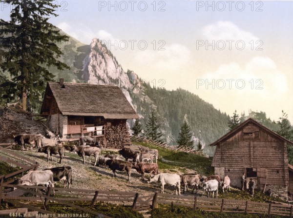 Emsigenalp with Sennhuetten, Pilatus, Switzerland, Historical, digitally restored reproduction from