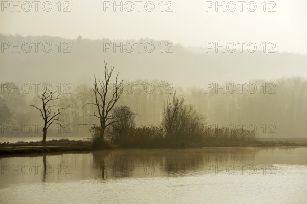 Morning mood in the Naturschutzgebiet Flachsee nature reserve in Rottenschwil, Canton of Aargau,