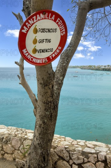 Warning sign Sign warning against consumption of deadly poisonous fruits Beach apple of manchinel