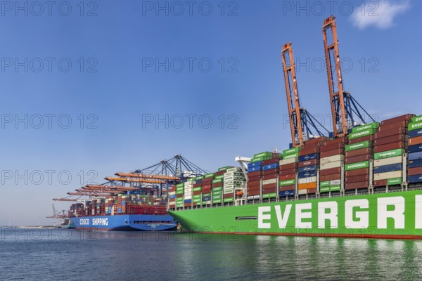 Container ship EVER GIFTED at Euromax Container Terminal. The mega ship has a length of 400 metres.