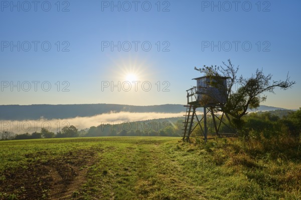 Sunny morning over a meadow with trees and hunting pulpit, fog, quiet and peaceful atmosphere,