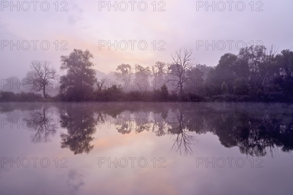 Morning atmosphere at the Flachsee, trees reflected in the water, Rottenschwil, Canton Aargau,