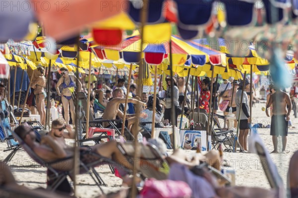 Overtourism in Thailand. Mass tourism on the sandy beach of Patong, the deckchairs are packed
