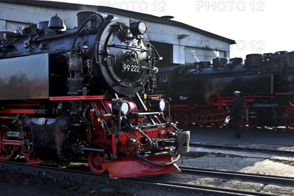 Steam locomotives at the engine shed, Harz narrow-gauge railway, abbreviated HSB, Wernigerode
