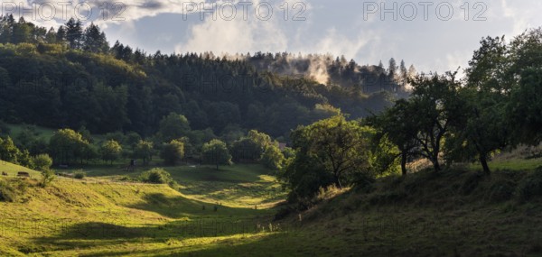 Landscape in the Odenwald with trees, meadows, forest and hills. Sunshine after rain. In the
