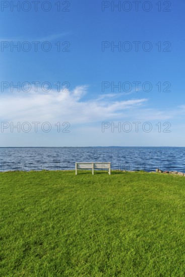 Isolated, white, empty bench in a meadow on the shore of the Szczecin Lagoon in the village of