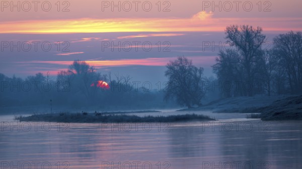 Sunrise on the Middle Elbe, winter landscape in frost, river landscape, fog, reflection of the sun,