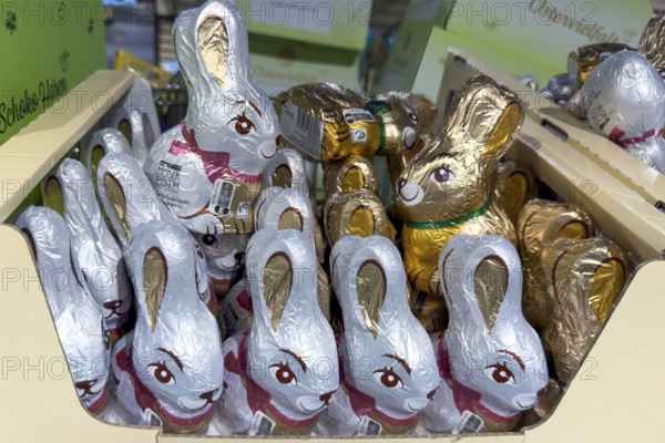 Display on retail shelf of wholesale chocolate Easter bunnies chocolate Easter bunnies wrapped in