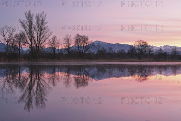 Rigi reflected in the flooded nature reserve in the evening light, Reussspitz, Hünenberg, Canton