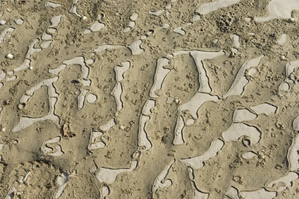 Detailed view of abstract, natural sand patterns on the coast, Plage Saint Efflamm,