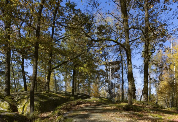 Observation tower in the Blockheide nature park Park near Gmünd, Waldviertel, Lower Austria,