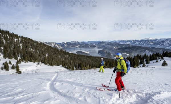 Two skiers skiing down the Simetsberg, view of Walchensee and mountain panorama, Estergebirge,