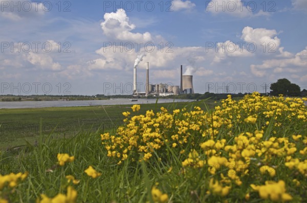 STEAG EVONIK Walsum coal-fired power station, Duisburg, Rhine, North Rhine-Westphalia, Ruhr area,
