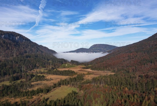 Early morning mist in the Egelsee nature reserve with a view of the Gaisberg, moorland, Puch near