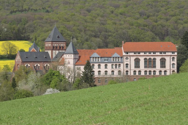 View of mission house church built in 1905, landscape, forest, rape field, mission house,