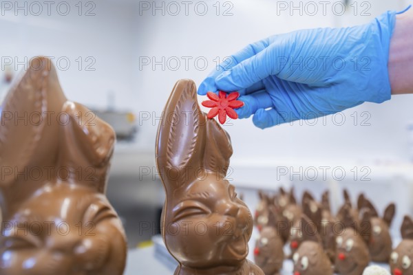 A hand with a blue glove attaches a red flower to a chocolate bunny, Easter baking and chocolate