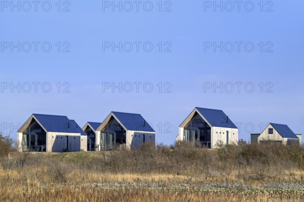 Tiny houses, beach houses in dunes at Molecaten Park Waterdunen, camping and holiday park along the