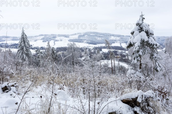 View from Czorneboh to Cunewalde in winter, in the background the Bieleboh, Upper Lusatia, Saxony,
