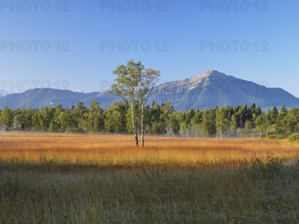 Eigenried raised bog, Zugerberg, behind the Rigi, Canton Zug, Switzerland