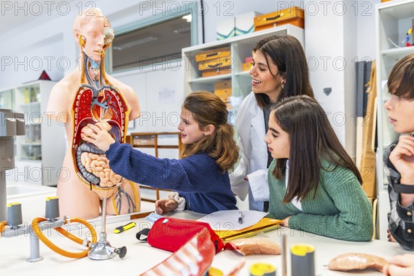 Elementary school students learning human body anatomy with teacher and anatomical model during