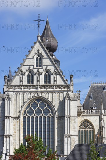 Cathedral of Our Lady, Onze-Lieve-Vrouwekathedraal, nave, side view via side entrance, Gothic,