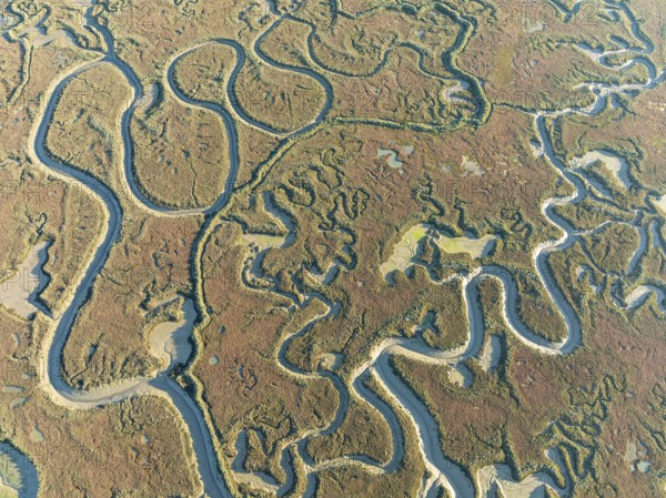 Network of channels and streams at low tide. In the marshland of Isla Cristina. Aerial view. Drone