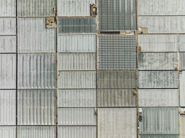 Masses of shimmering plastic greenhouses near El Ejido, aerial view, drone shot, Almería province,