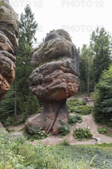 Natural monument Kelchsteine with mushroom rock Kelchstein near Oybin, Zittau Mountains, Saxony,