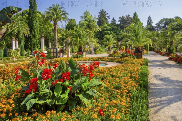 Palm garden in the historic spa gardens, the largest outdoor palm garden north of the Alps, Bad