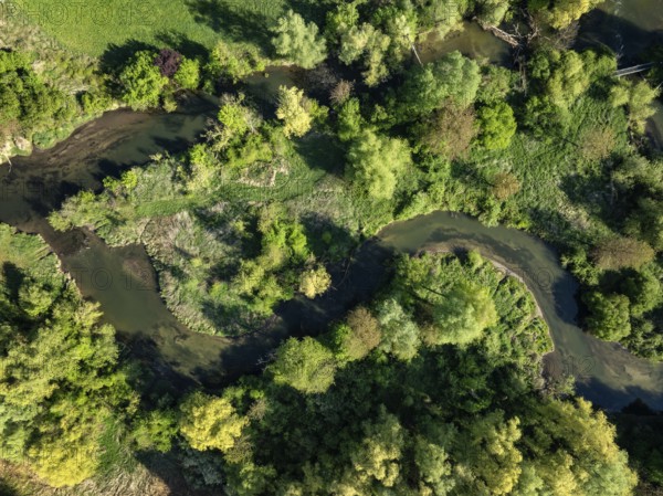 Aerial photograph, top down view of the Radolfzeller Aachried with the Radolfzeller Aach,