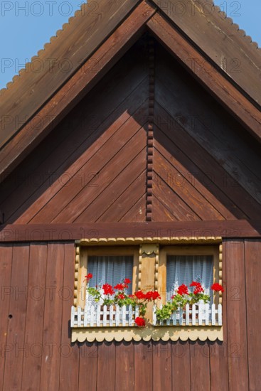 Close-up of a wooden window with red flowers under a blue sky, gable, Old wooden house, Vesec u