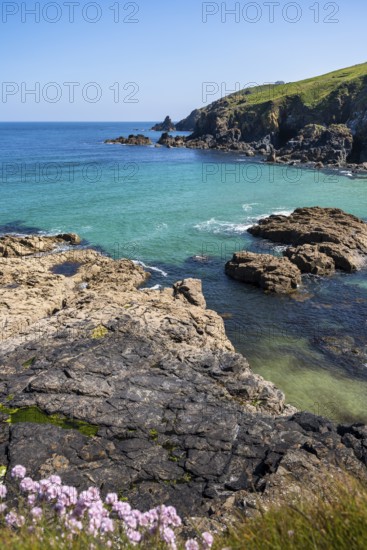 Coastal landscape in Cornwall between Gurnard's Head and Carnelloe Headland. Rose-an Hale Cove,