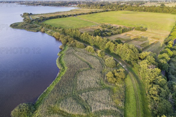 Aerial view of Lake Dümmer, nature reserve, reeds, shore, Ochsenmoor, Hüde, Lower Saxony, Germany