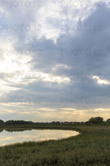 Lake Varchentin, evening mood on the shore, Mecklenburg Lake District, Mecklenburg-Western