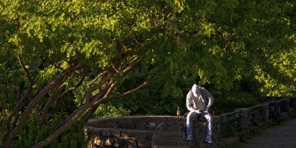 Young man sitting in the sun and engrossed in his mobile phone in the greenery under trees on the