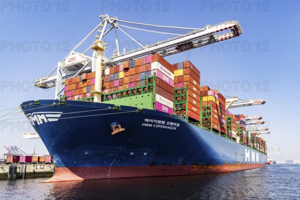 The container ship HMM Copenhagen has a length of 399.9 metres. RWG Terminal (Rotterdam World